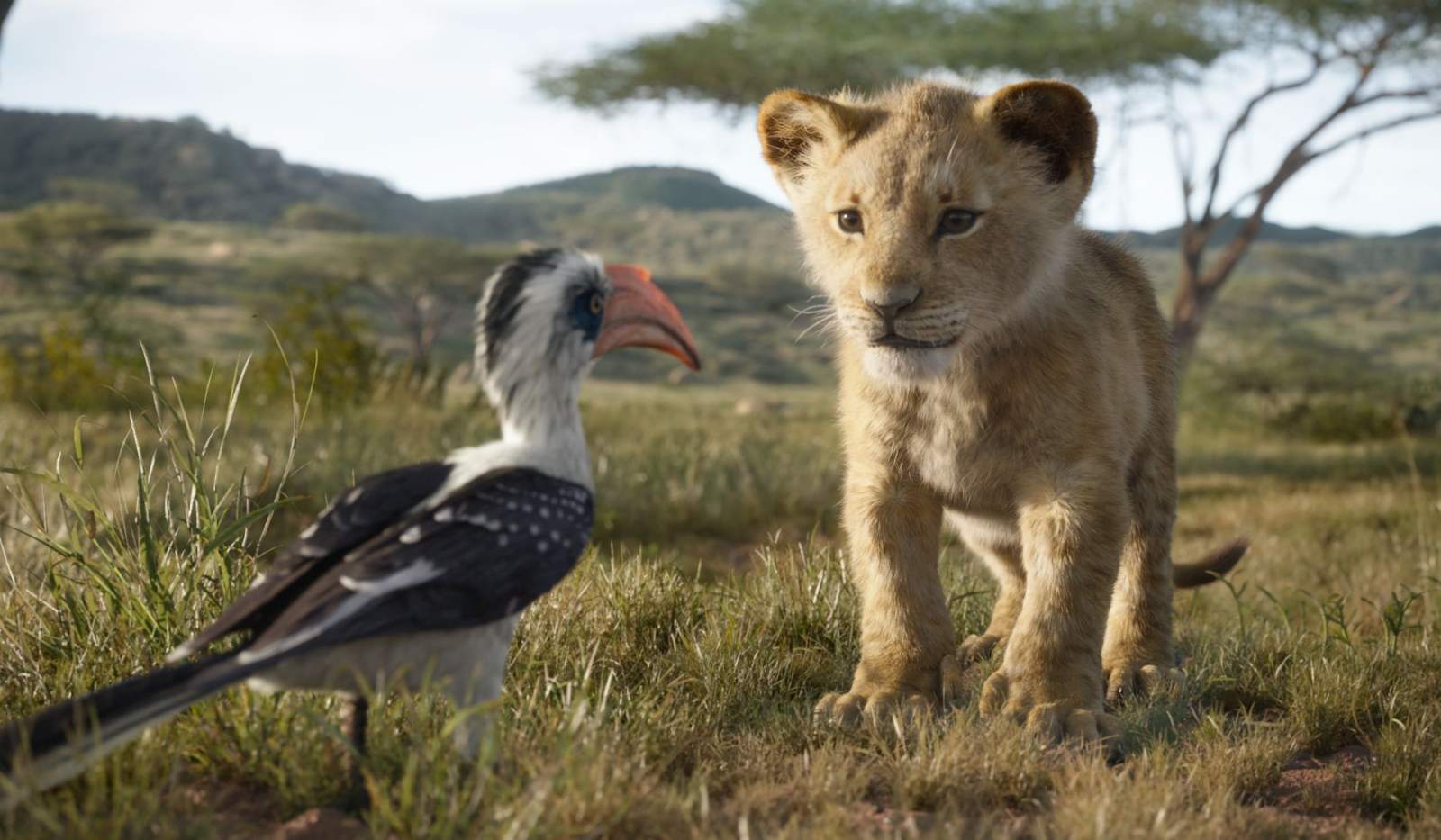 film untuk belajar bahasa inggris The Lion King