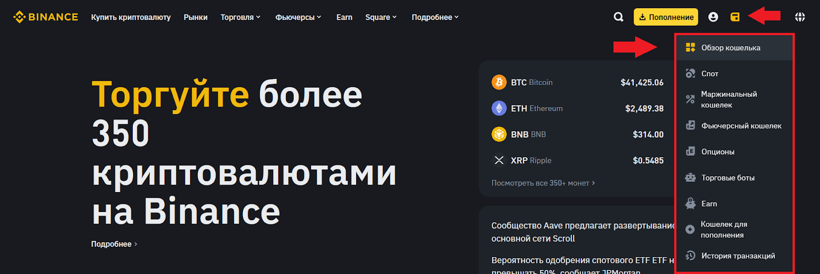 Открываем меню пользователя на сайте Binance, переходим в «Обзор кошелька»