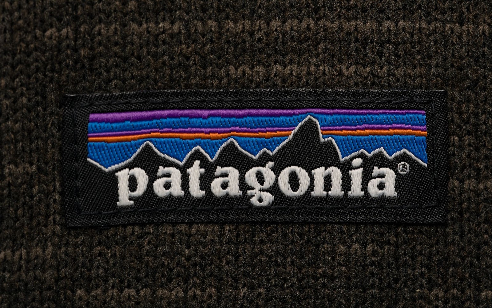 Patagonia Logo Embroidery on Fabric