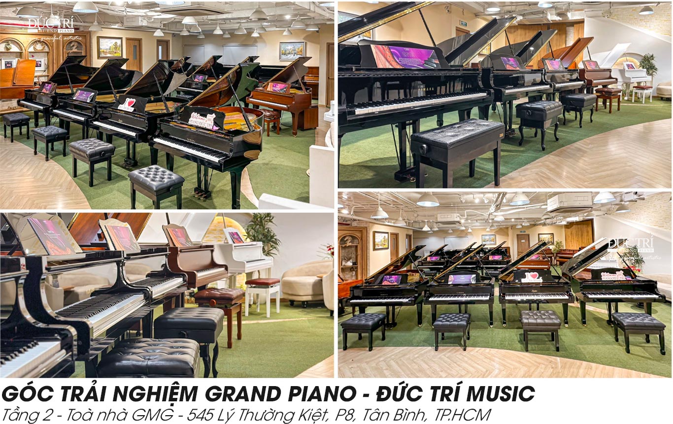 Piano Đức Trí | Đơn Vị Chuyên Cung Cấp Đàn Piano Chính Hãng Đẳng Cấp Tại Việt Nam