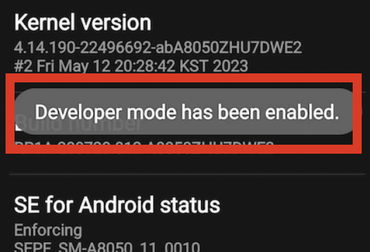 screenshot showing Developer mode is enabled on Android