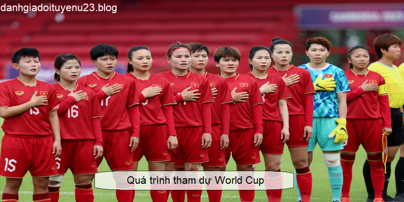 Quá trình tham dự World Cup 