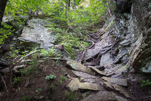 hiking