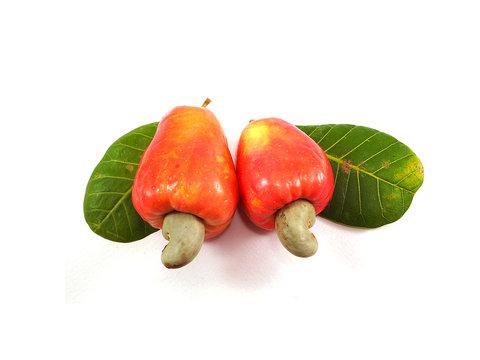 foto da fruta caju