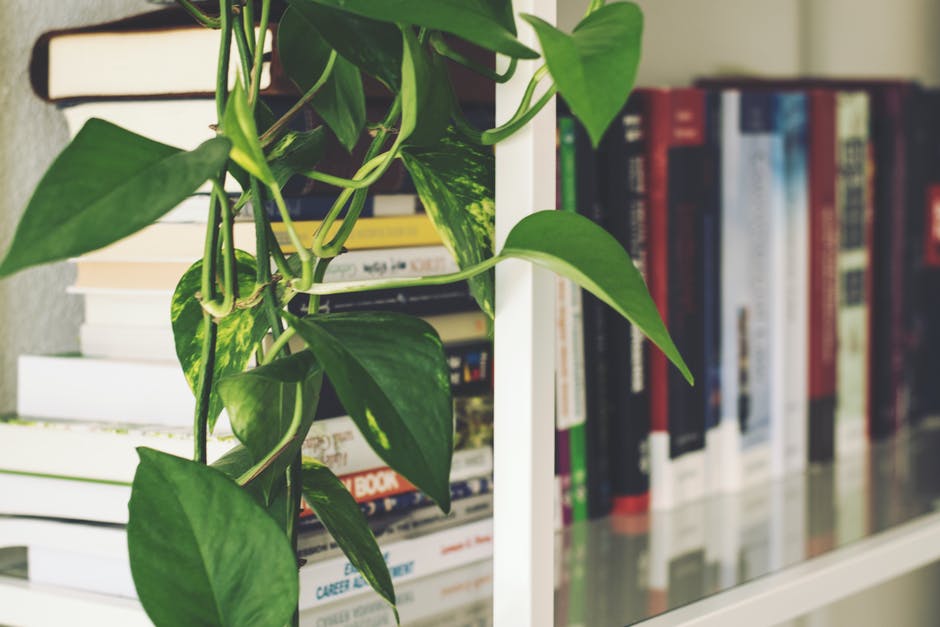 books on shelf