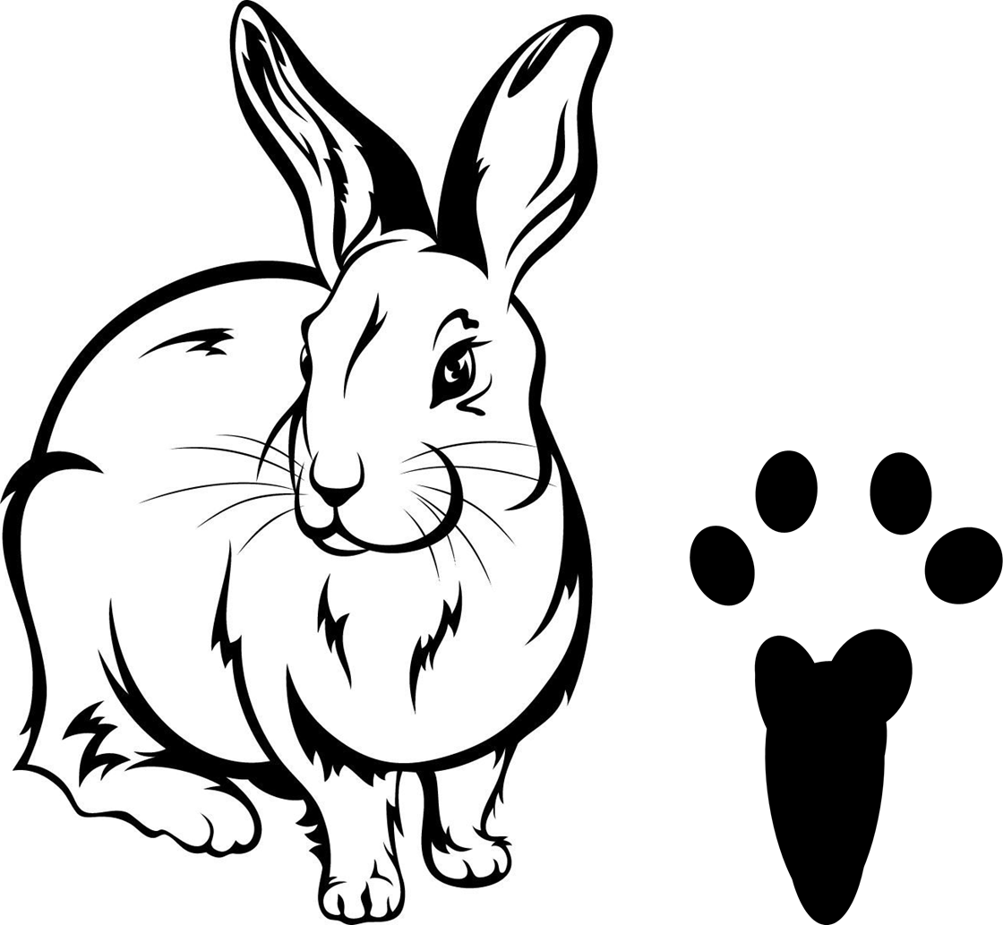 Изображение выглядит как зарисовка, рисунок, кролик, Кролики и зайцы

Автоматически созданное описание