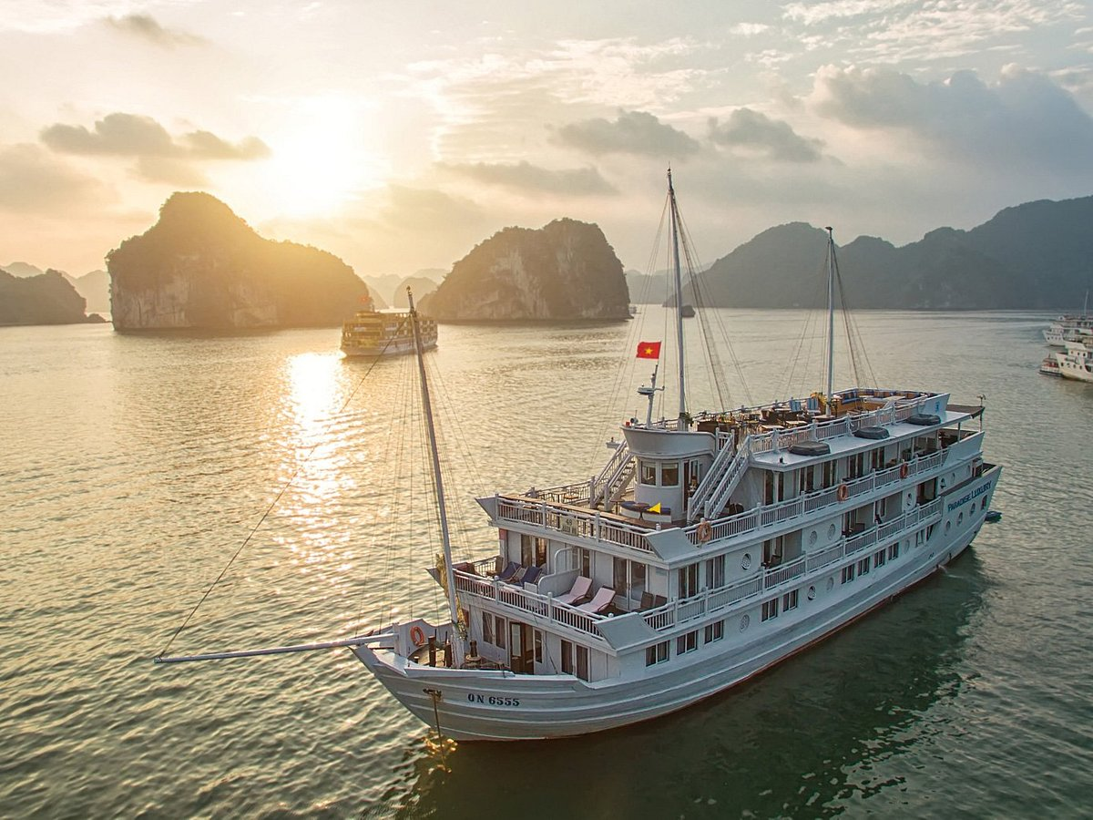 Unwind In Cruise Paradise