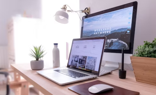 Desk with laptop, computer plant and mouse.