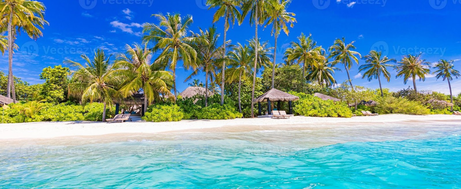 Beachfront Paradise Upscale Hotels