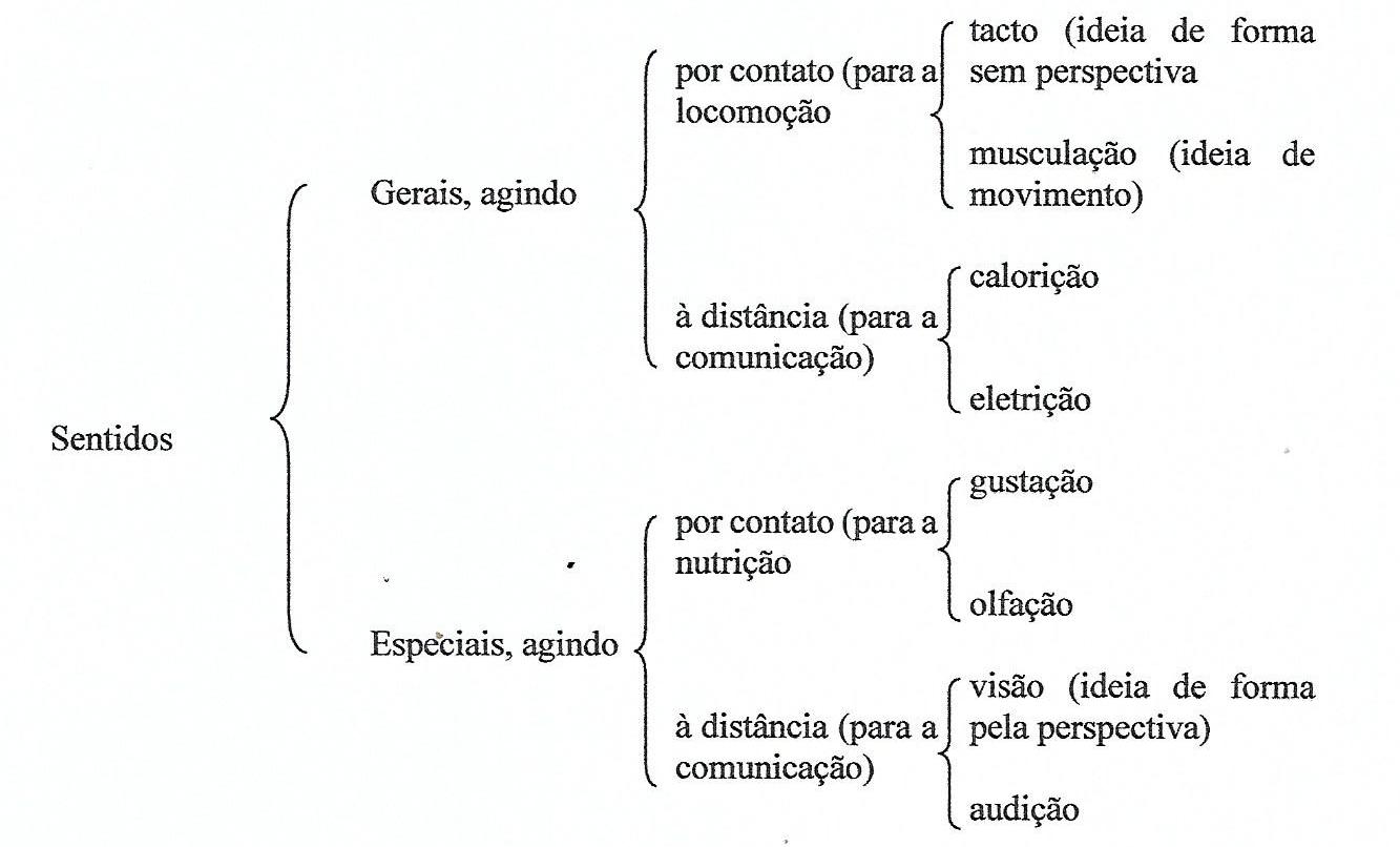 Diagrama

Descrição gerada automaticamente