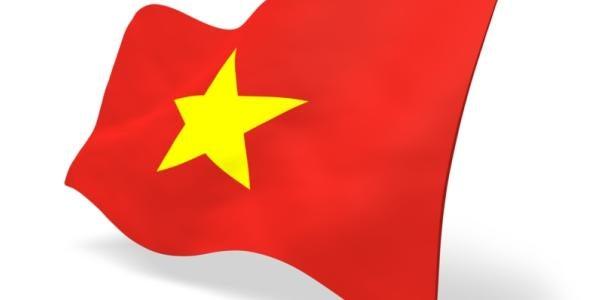 Vietnam Government on Anti Dumping Laws 