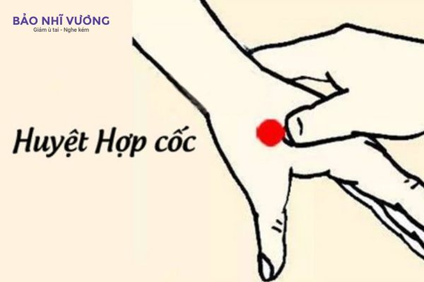 huyet-hop-coc-cai-thien-u-tai