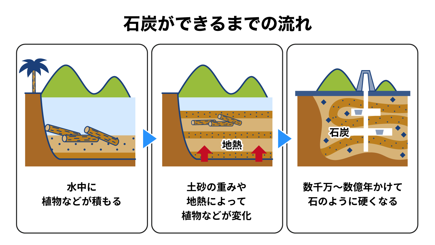 石炭ができるまでの流れ