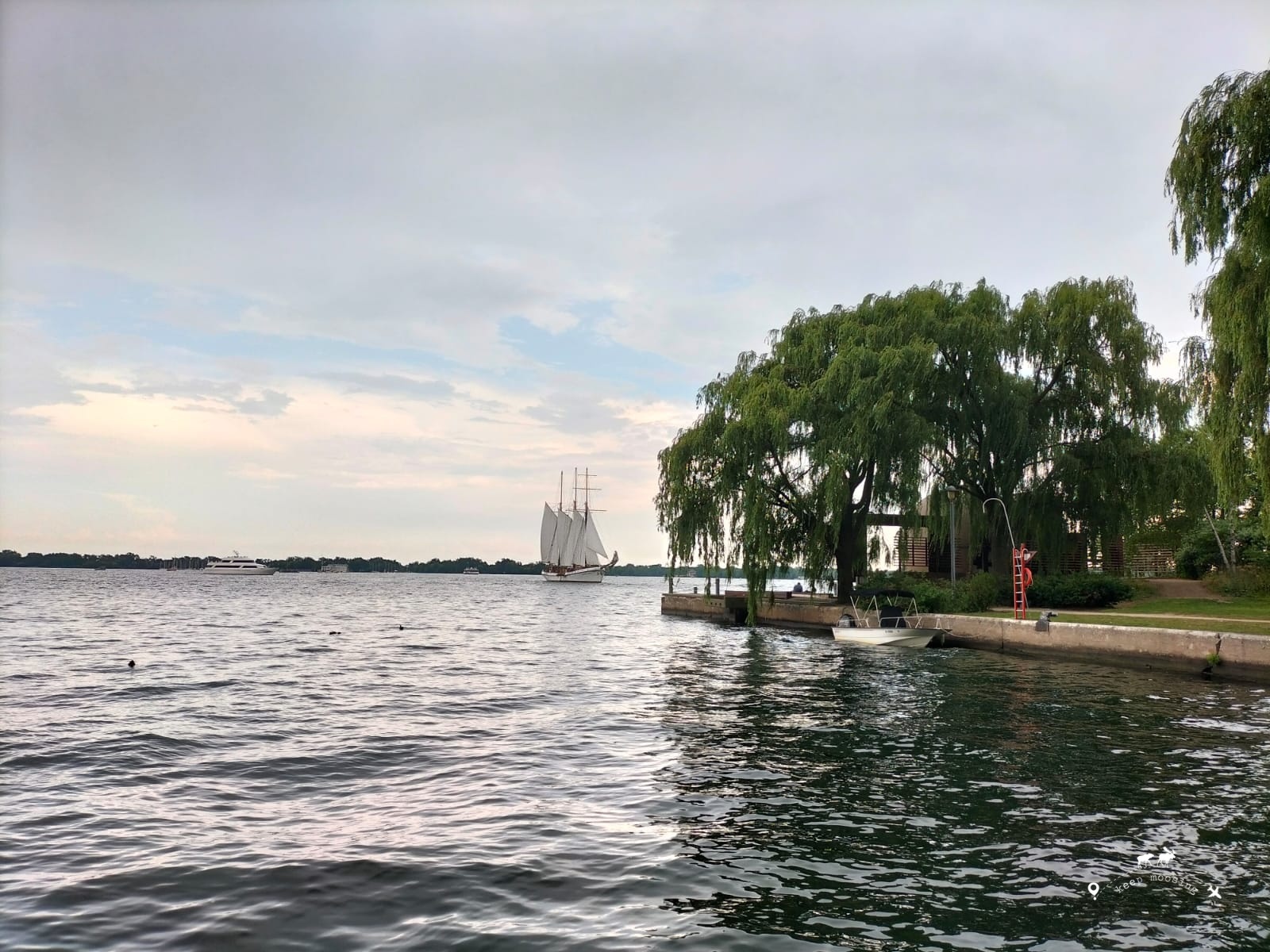 Image representing the Toronto lakefront with a sailing vessel in the background. On the right a weeping willow on the shore of the lake.