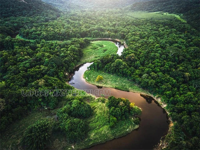 Rừng Amazon rộng lớn thuộc 7 kỳ quan thiên nhiên thế giới mới