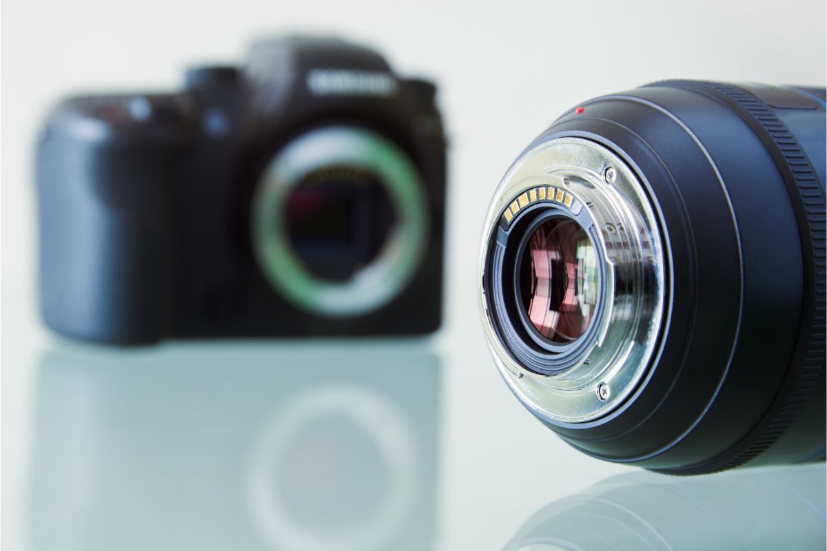 เลือกซื้อกล้อง DSLR ยังไงดี? แนะนำวิธีเลือกกล้อง DSLR สำหรับมือใหม่ อ่านจบใช้เป็นทันที7