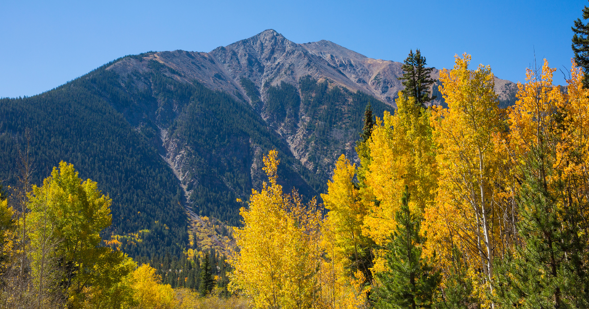 Incredible Fall Views of the Higher Elevations Near the Top of Independence Pass