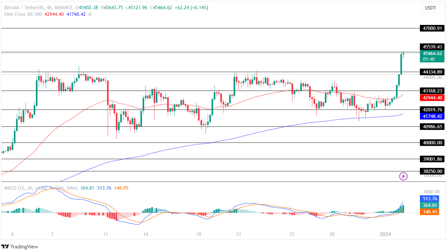 Bitcoin Price Analysis