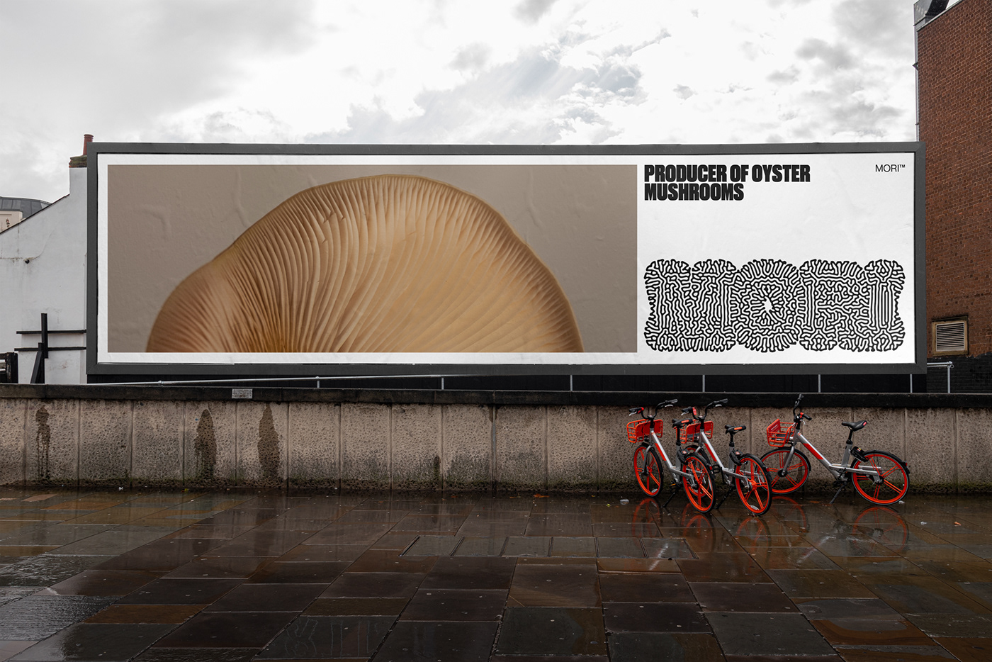branding packaging design Logotipo Logotype visual identity Brand Design oyster mushroom