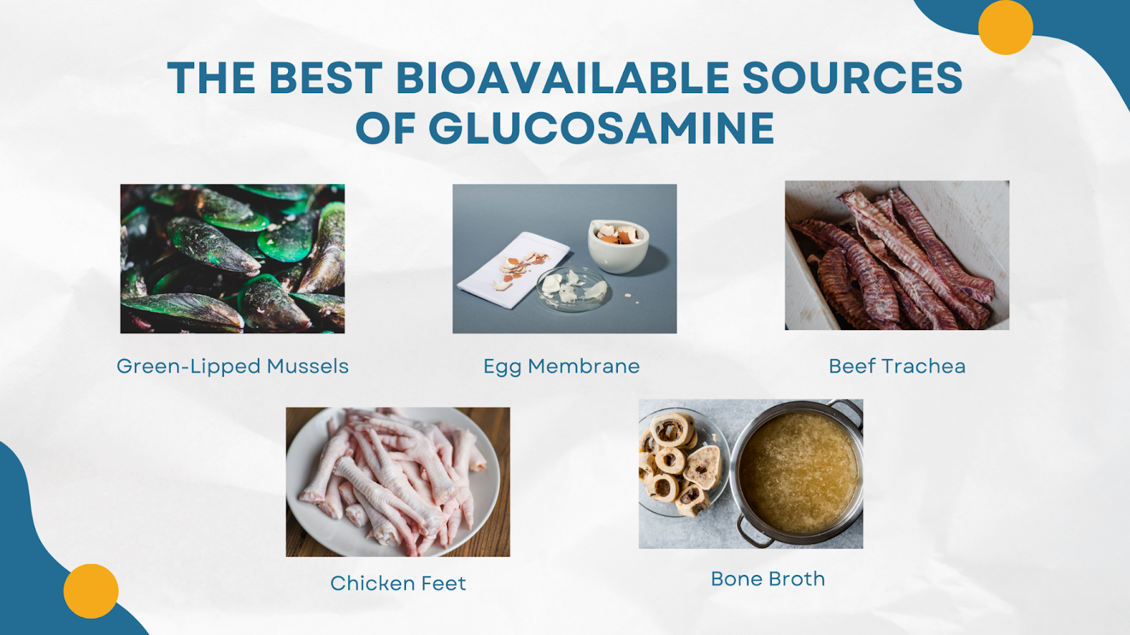 Best bioavailable sources of glucosamine