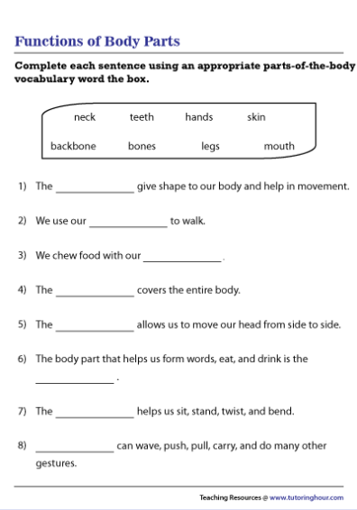 26 Wonderful Worksheets To Learn The Parts Of The Body - Teaching