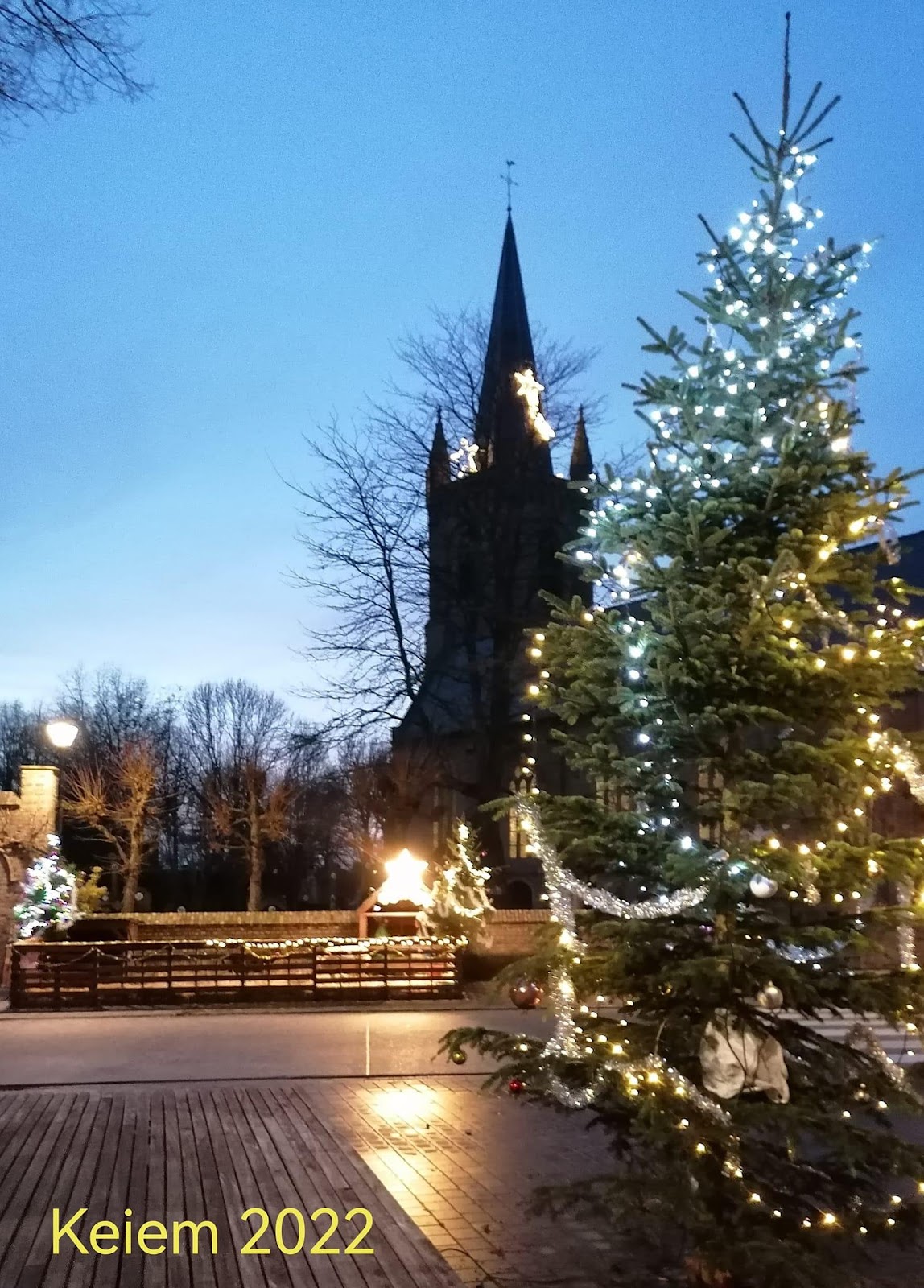 Afbeelding met kerstboom, hemel, buitenshuis, boom

Automatisch gegenereerde beschrijving