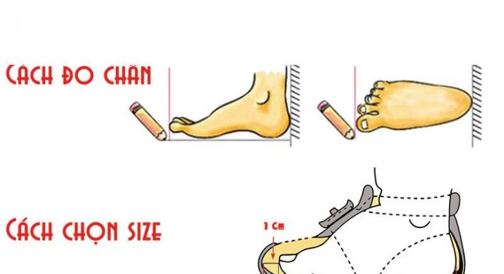 cách đo size giày