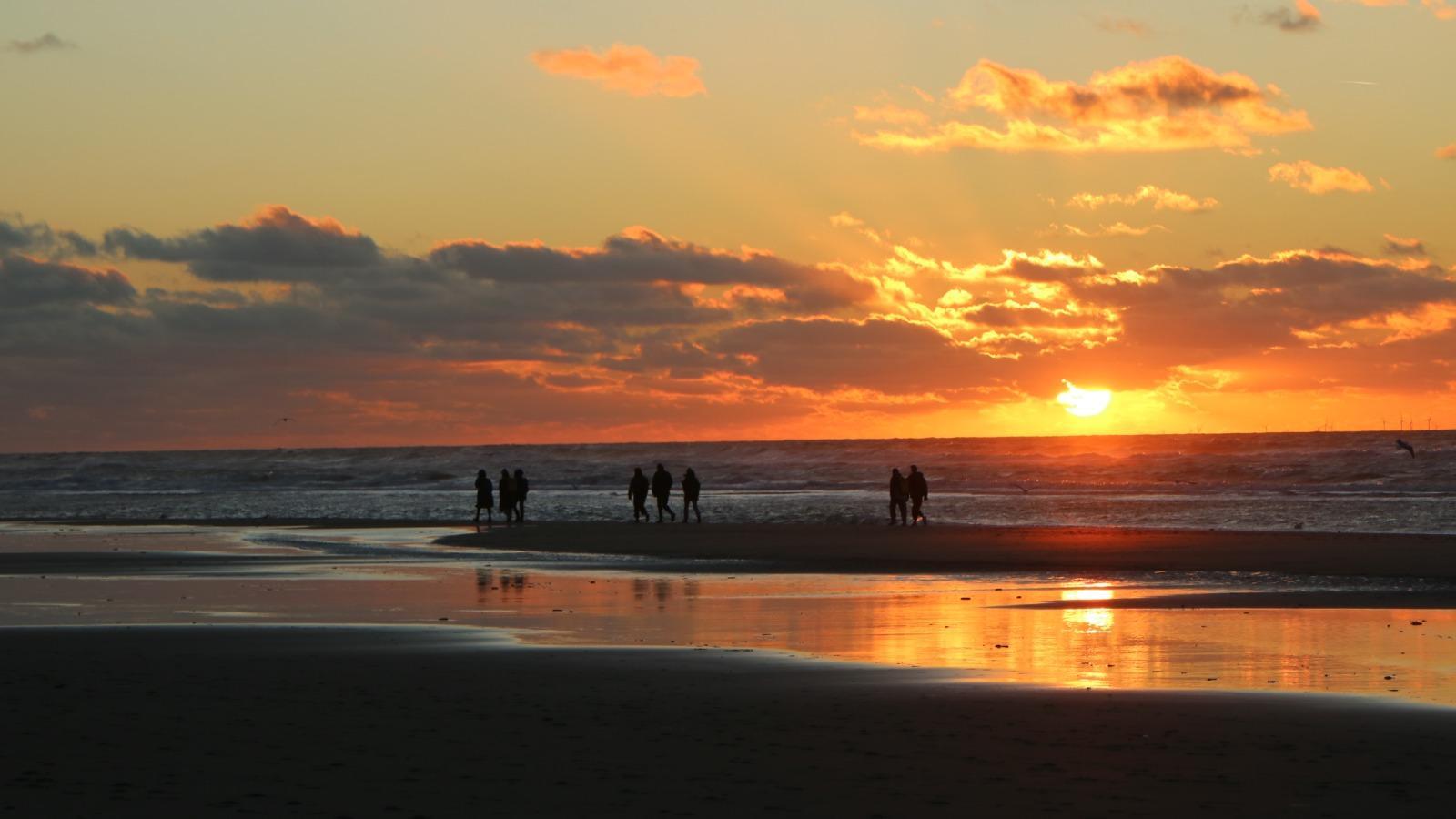 A group of people walking on a beach

Description automatically generated