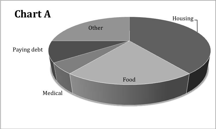 Circle graph showing Chart A: The typical household budget broken into categories, indicating the largest to smallest portions: - Housing - Food - Other - Paying debt - Medical. 