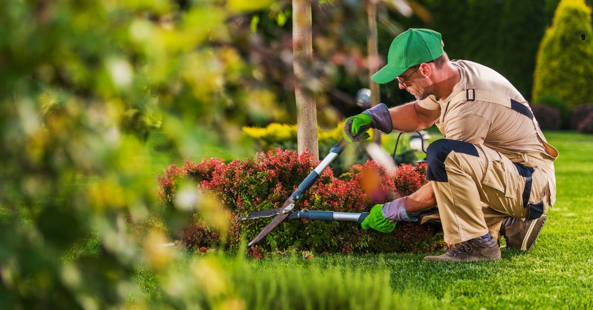 Enhance The Beauty and Safety of Your Landscape