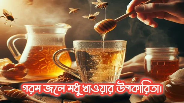 গরম জলে মধু খাওয়ার উপকারিতা,জেনে নিন।