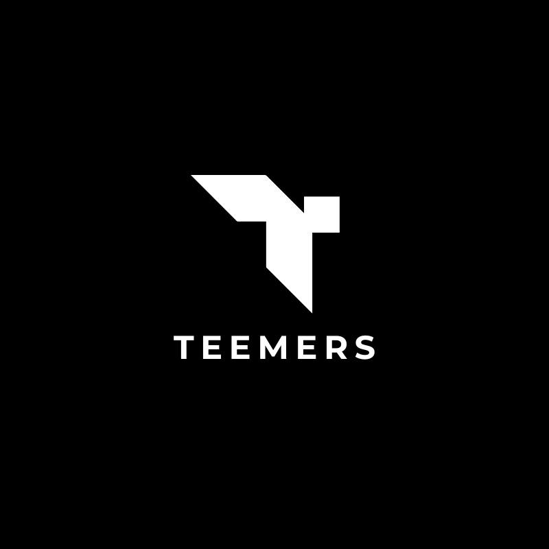 Teemers - Top Digital Marketing Company In Ambala, Haryana