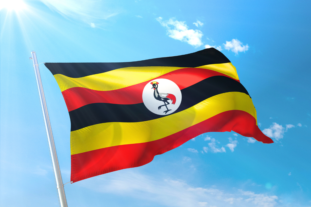 essential-overview-of-timeframe-and-purpose-of-e-visa-uganda-2024-2