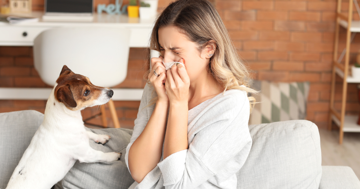 鼻過敏可以手術改善嗎