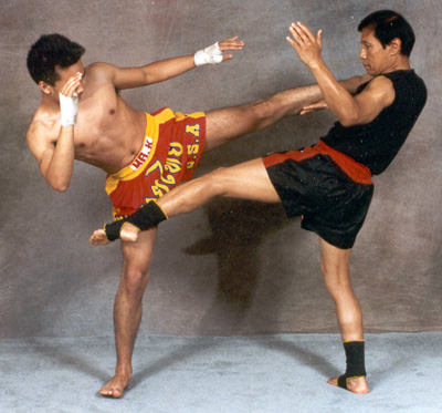 MMAs Basic Strikes - Basic Push (Push Kick or Front Kick)