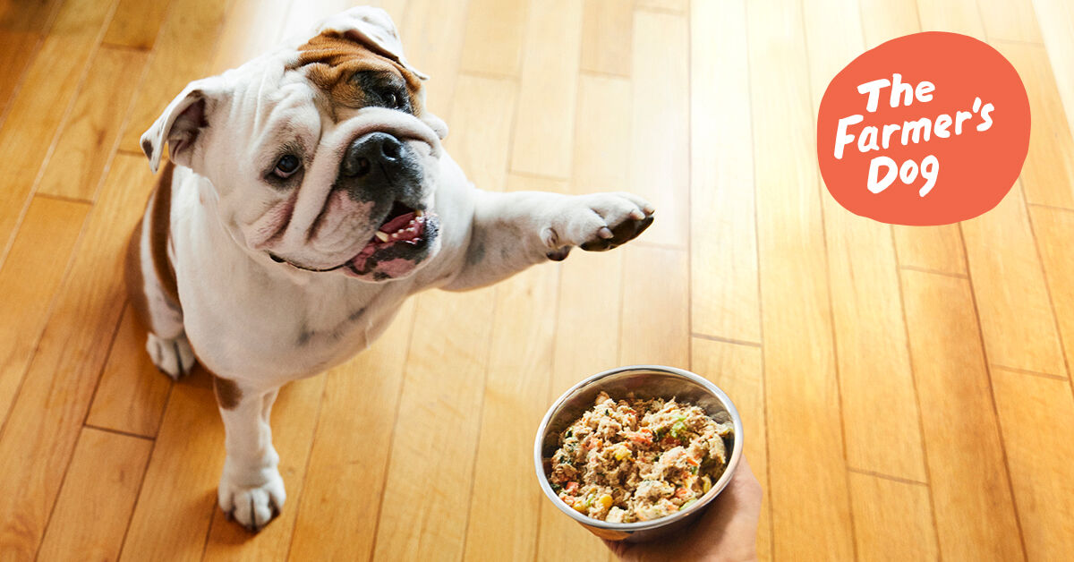 The Farmer's Dog: Fresh, personalized dog meals based on your pet's nutritional needs