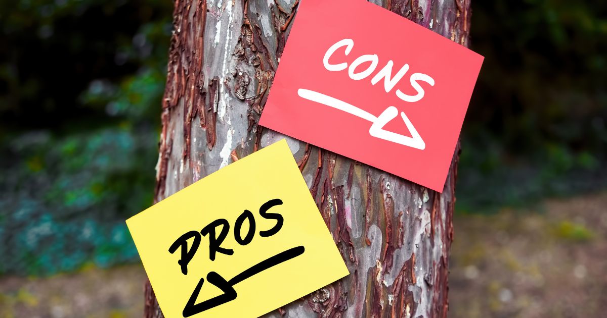 Pros and Cons of SEO