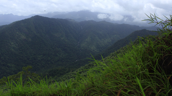 Neelimala Viewpoint