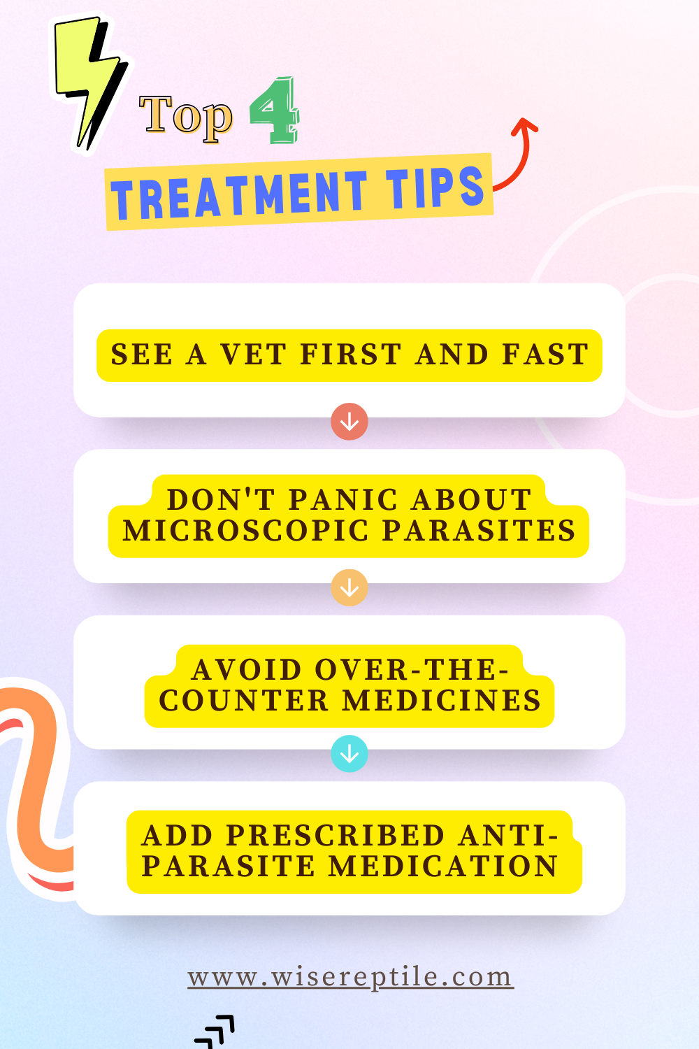 Infographic on Treatment of Parasites for Bearded Dragon