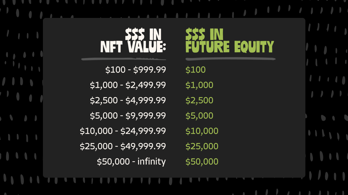 FAQs: How to Burn Your NFTs for Future Equity Rights