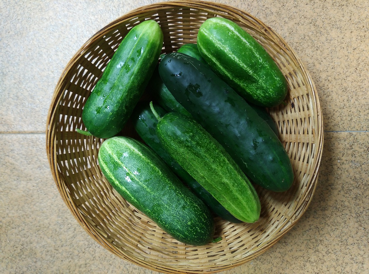 Cucumber Varieties