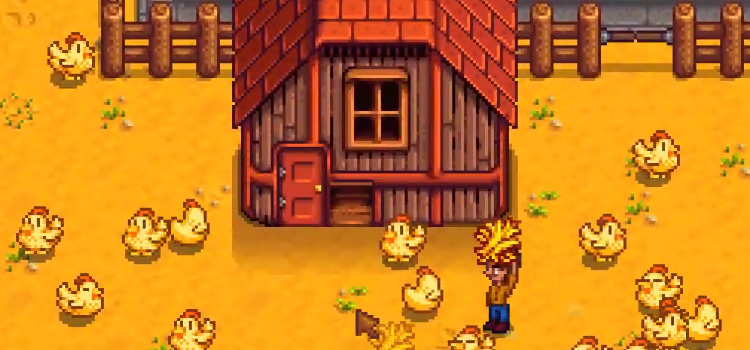 Golden Chicken Stardew Valley