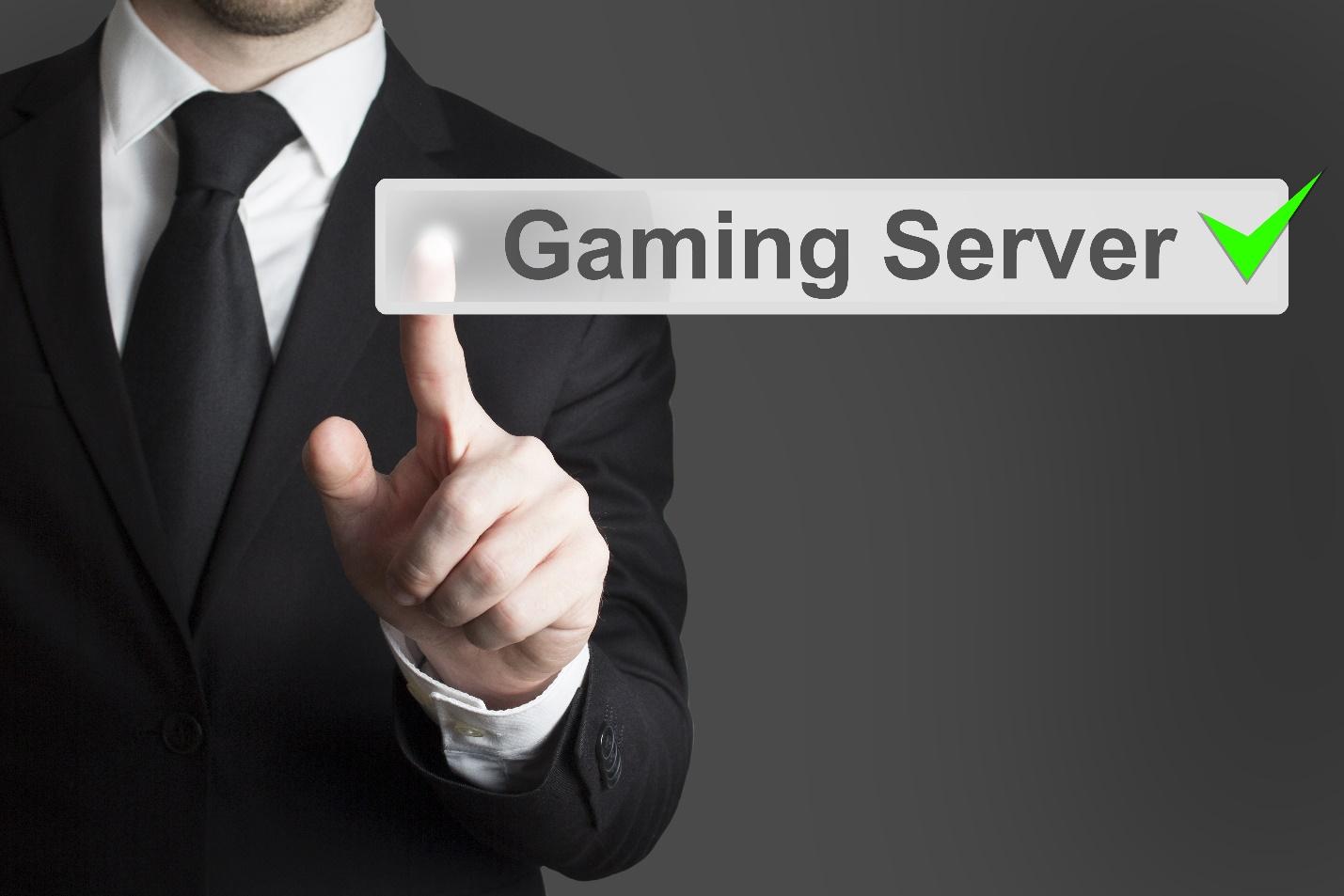 Dedicated game server rental offers the best gaming experience: fast, secure, reliable.