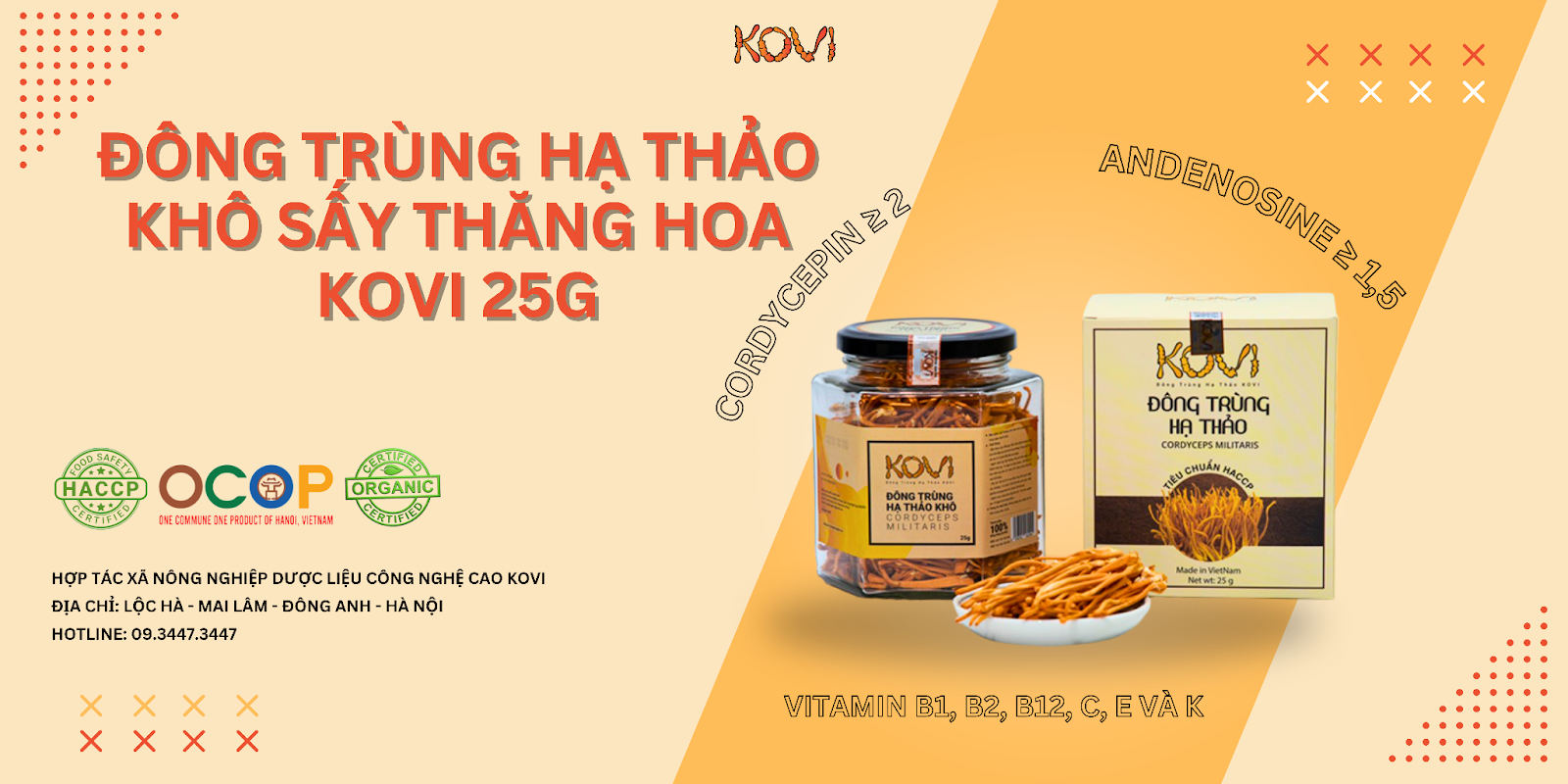 Đông trùng hạ thảo sấy khô