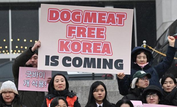 Quốc hội Hàn Quốc thông qua lệnh cấm thịt chó