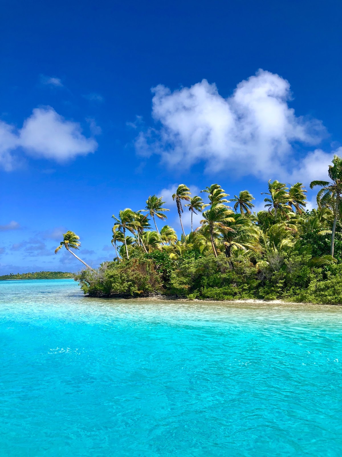 Image of a pristine beach with turquoise waters in Cook Islands.