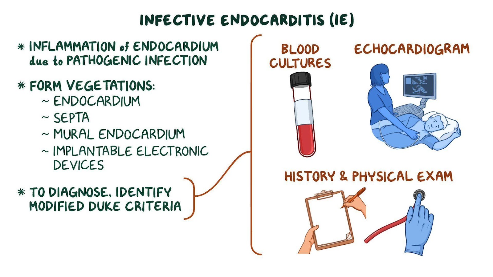 Infectious endocarditis: Clinical sciences - Osmosis Video Library