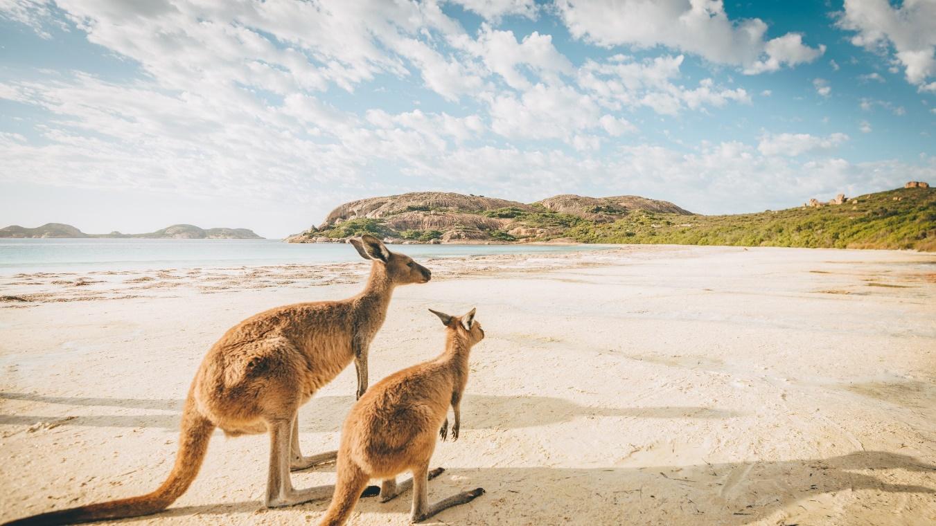 Quieres viajar a Australia? El país abre sus puertas de nuevo al turismo |  Traveler