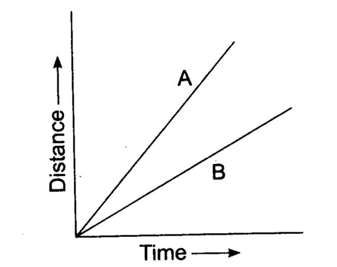 NCERT Solutions Class 7 Science Chapter 13 Motion and Time Q12