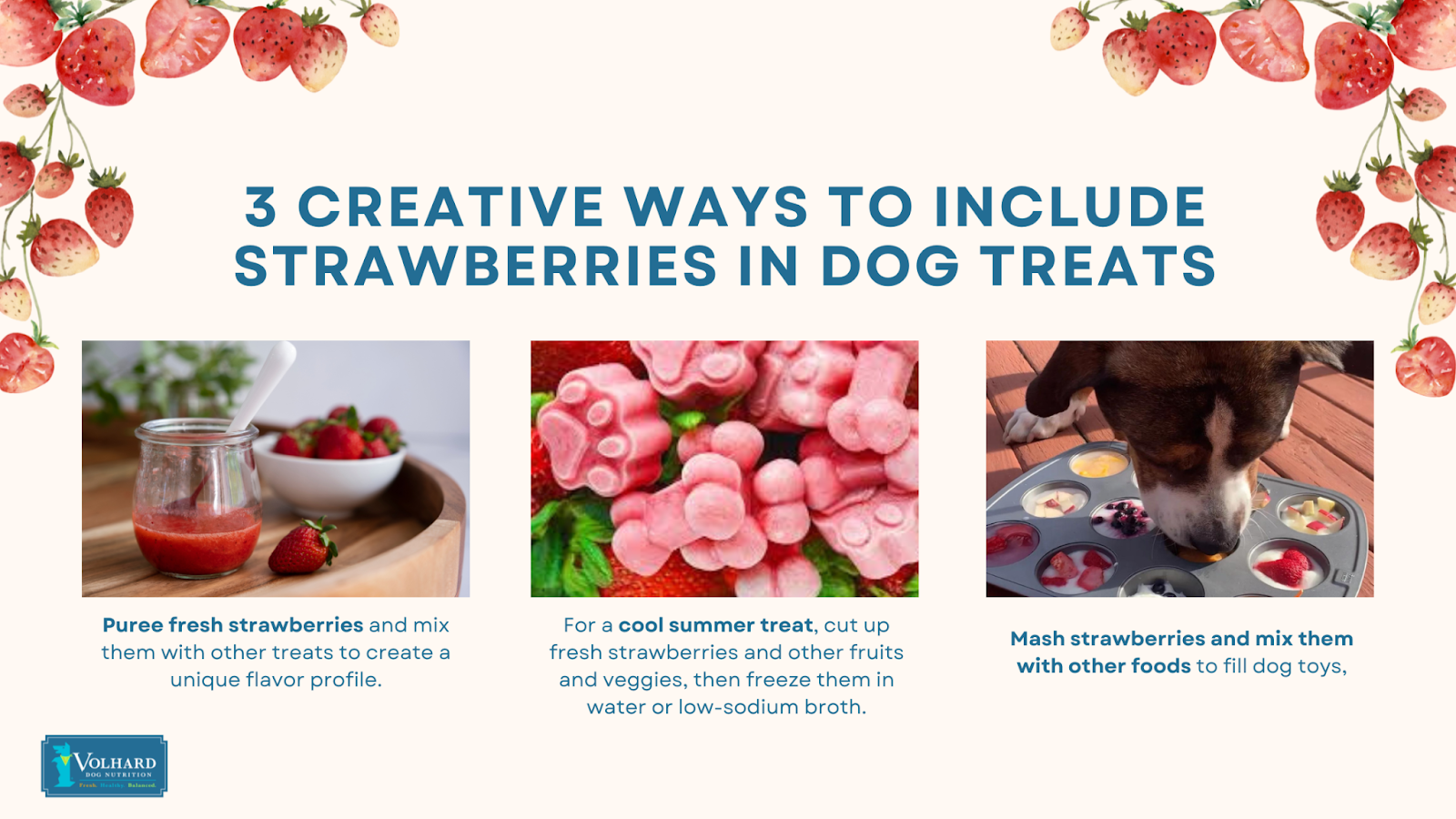 Strawberries in dog treats